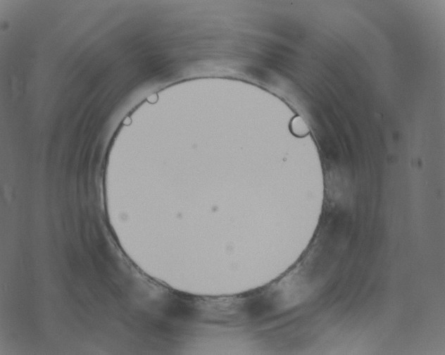 X0000073421150200608251544