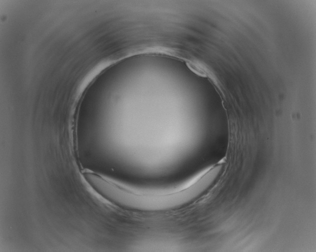 X0000073421151200608251544