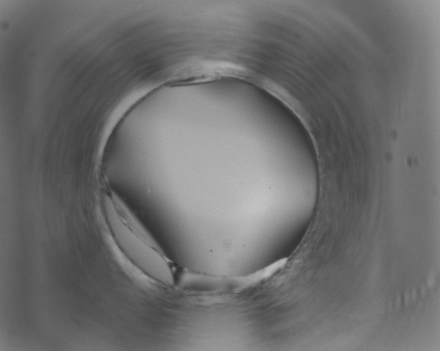 X0000073421152200608251544