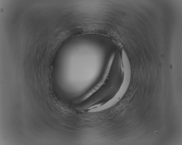 X0000073421153200608251543