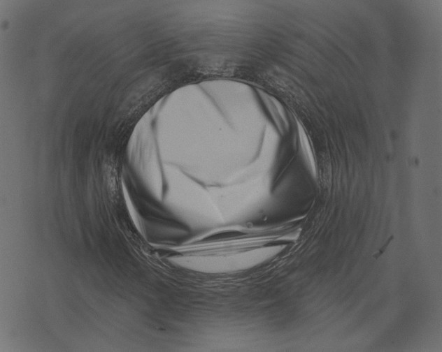 X0000073421154200608251543