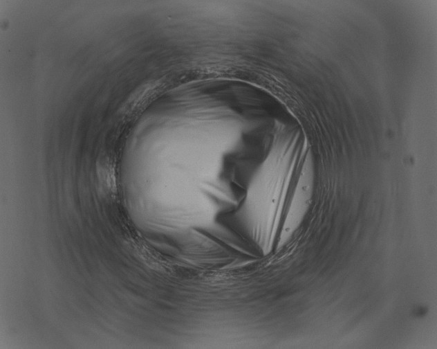 X0000073421155200608251543