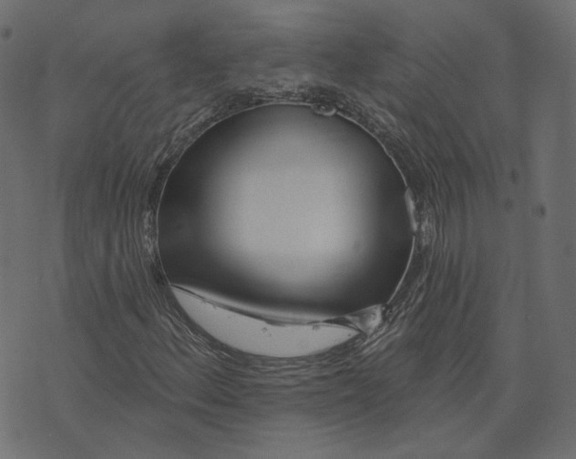 X0000073421156200608251543