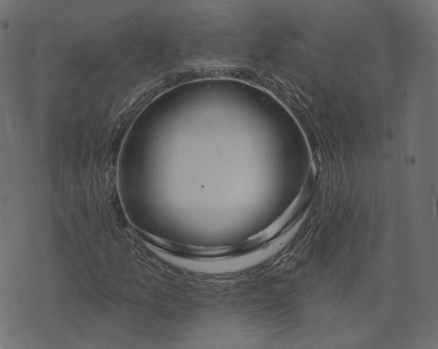 X0000073421157200608251543