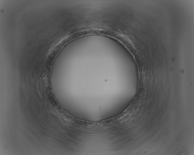 X0000073421159200608251543