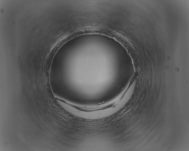 X0000073421160200608251543