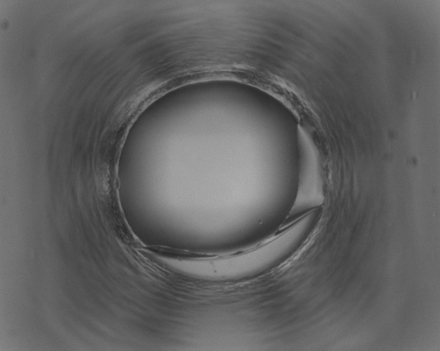 X0000073421161200608251543