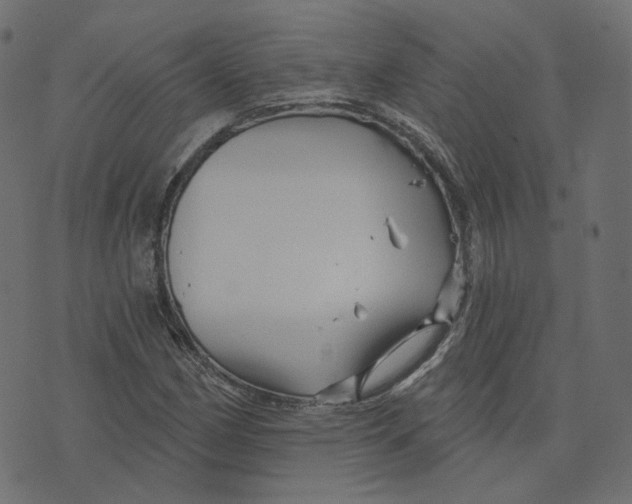 X0000073421162200608251543