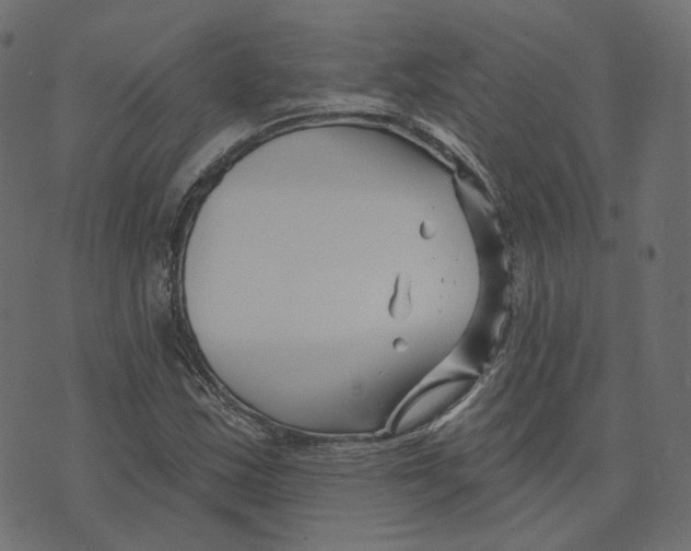 X0000073421163200608251543