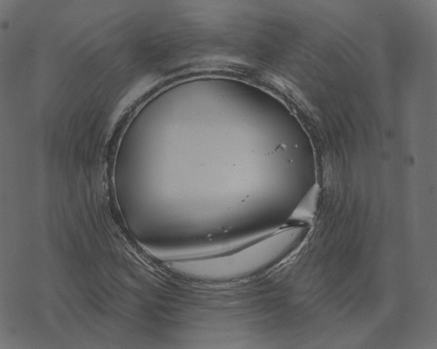 X0000073421164200608251543