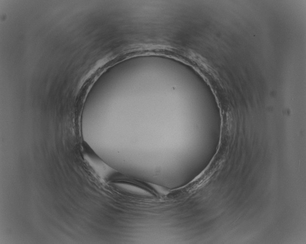 X0000073421165200608251543