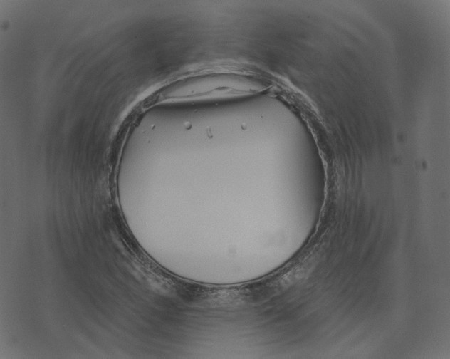 X0000073421166200608251543