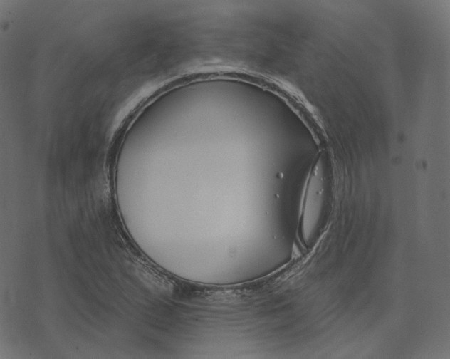 X0000073421167200608251543