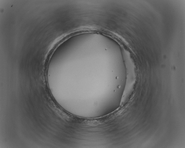 X0000073421168200608251543