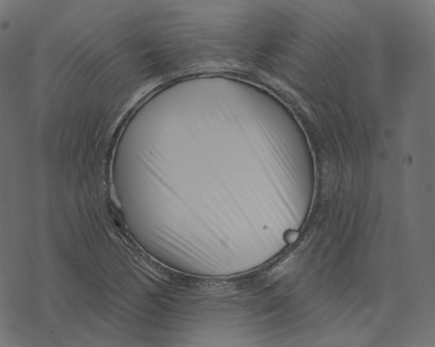 X0000073421170200608251542