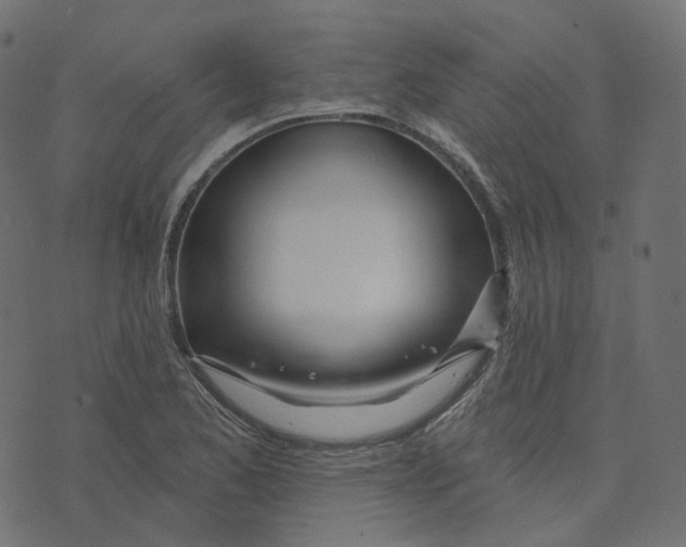 X0000073421173200608251542