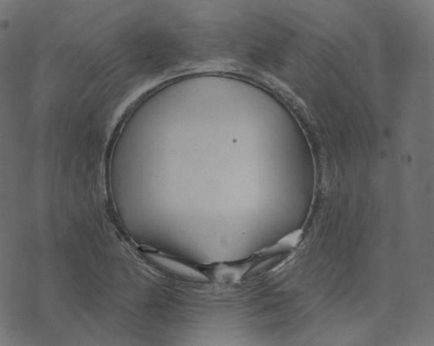 X0000073421174200608251542