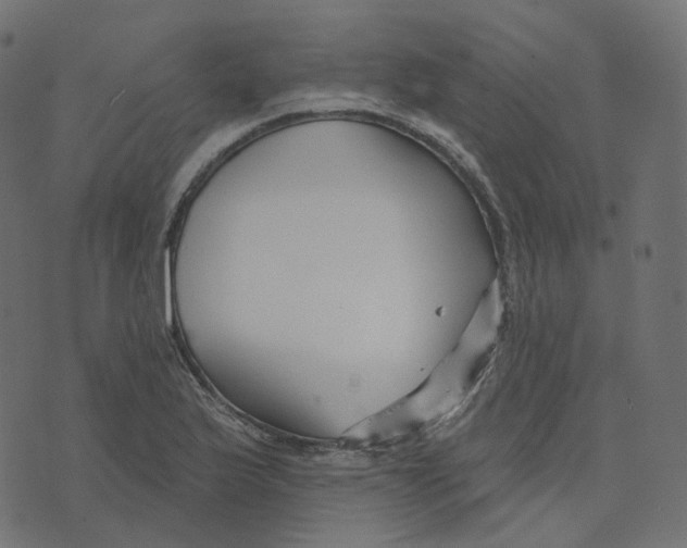 X0000073421175200608251542