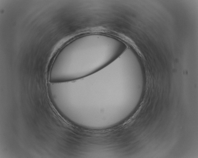 X0000073421176200608251542