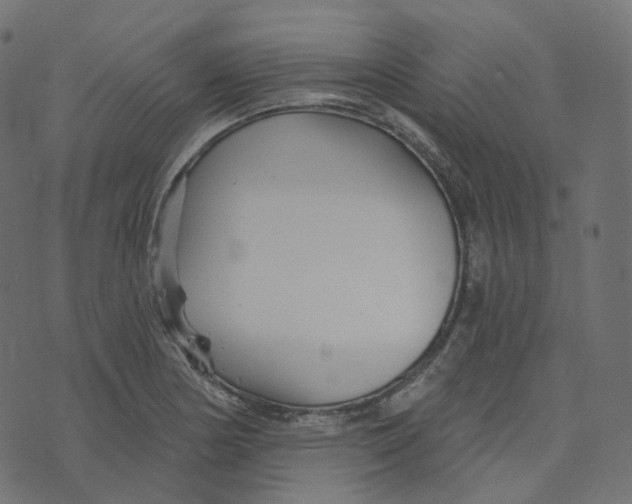 X0000073421178200608251542