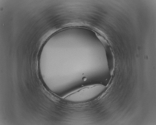 X0000073421179200608251542