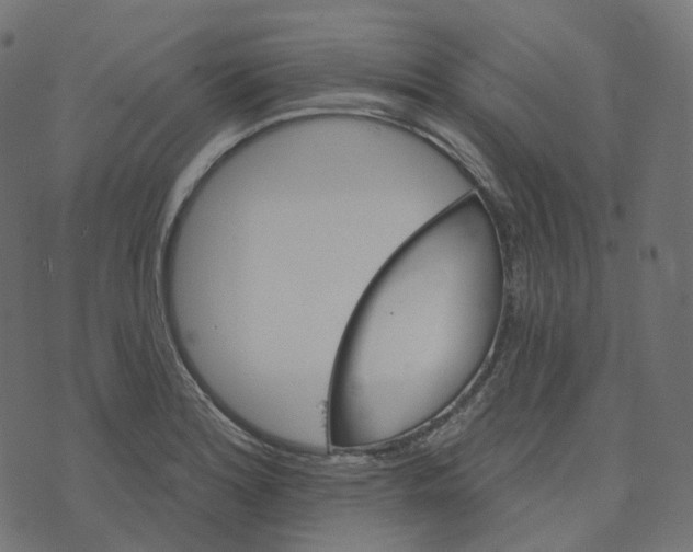 X0000073421180200608251542