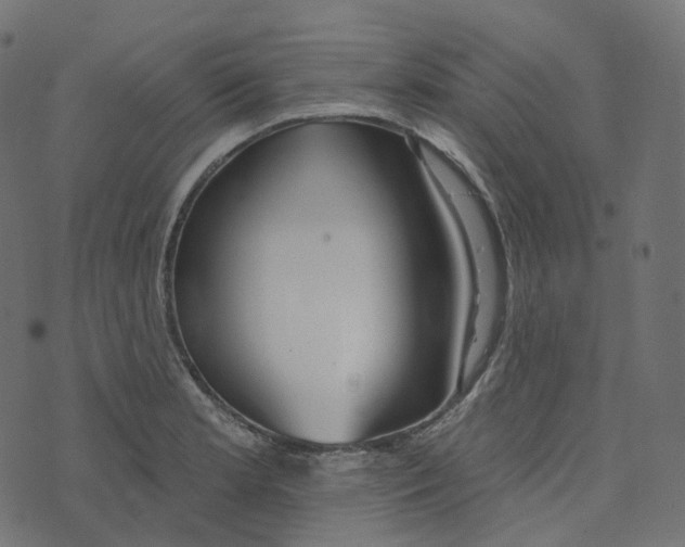 X0000073421181200608251542