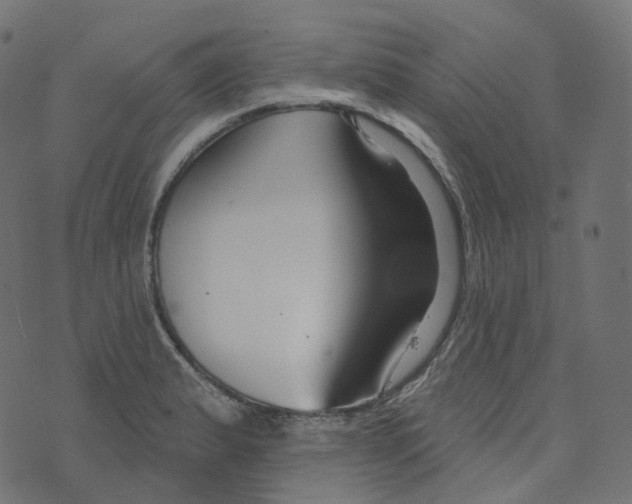 X0000073421183200608251542