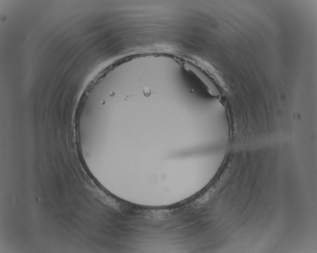 X0000073421184200608251542