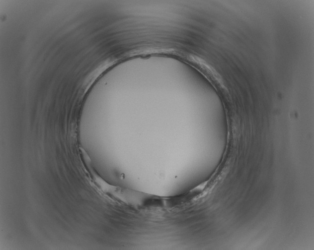 X0000073421185200608251542