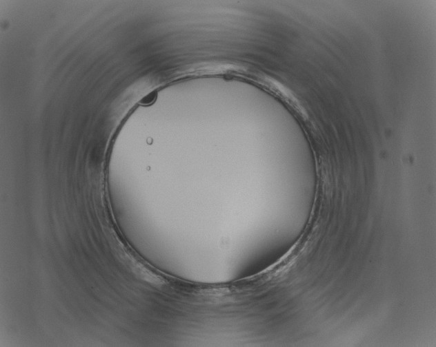 X0000073421186200608251542