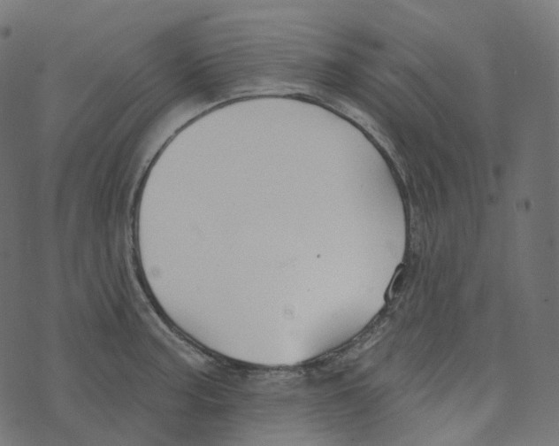 X0000073421187200608251542