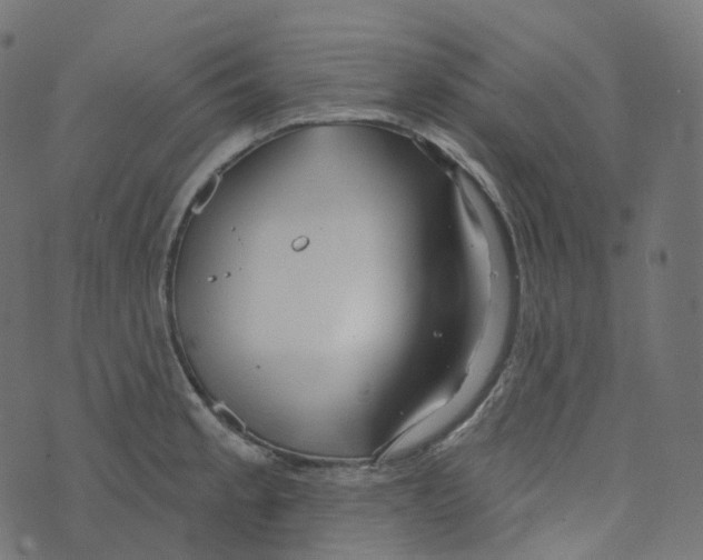 X0000073421189200608251542