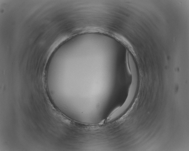 X0000073421190200608251542