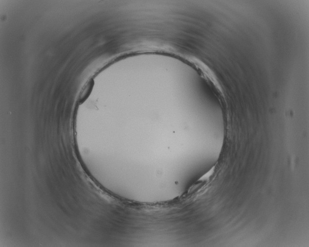 X0000073421191200608251542