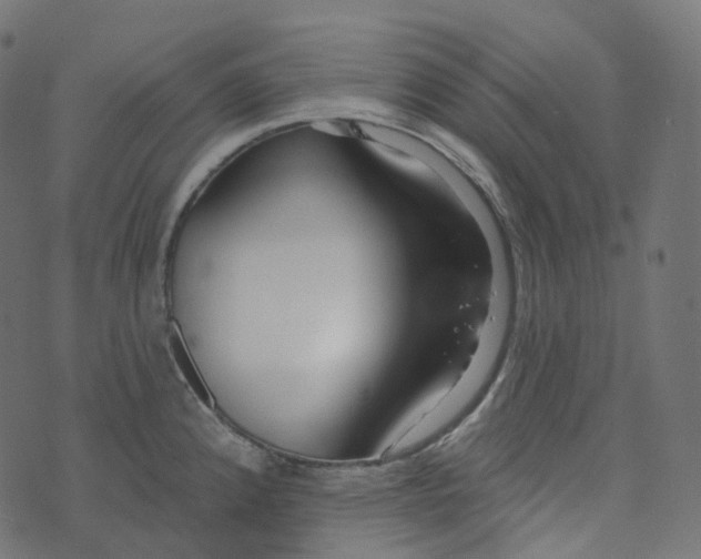 X0000073421192200608251542