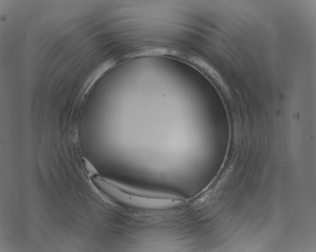 X0000073421193200608251542