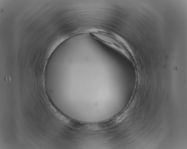 X0000073421194200608251542