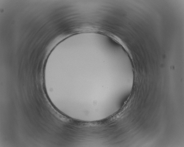 X0000073421195200608251542