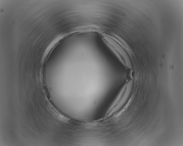 X0000073421196200608251542