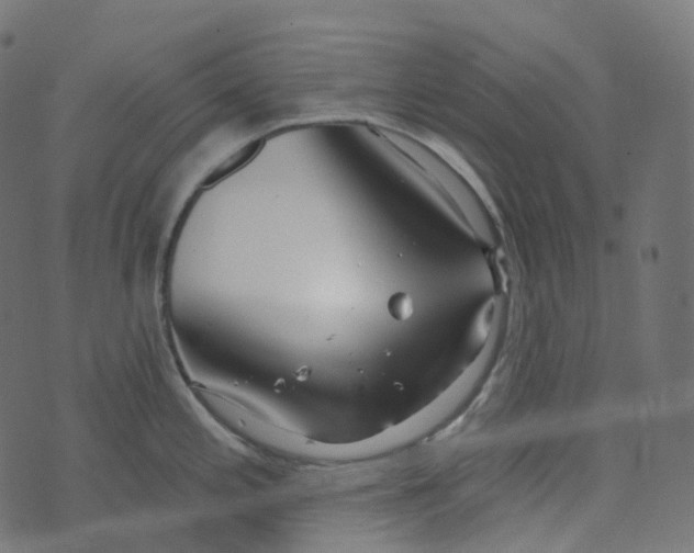 X0000073421197200608251542