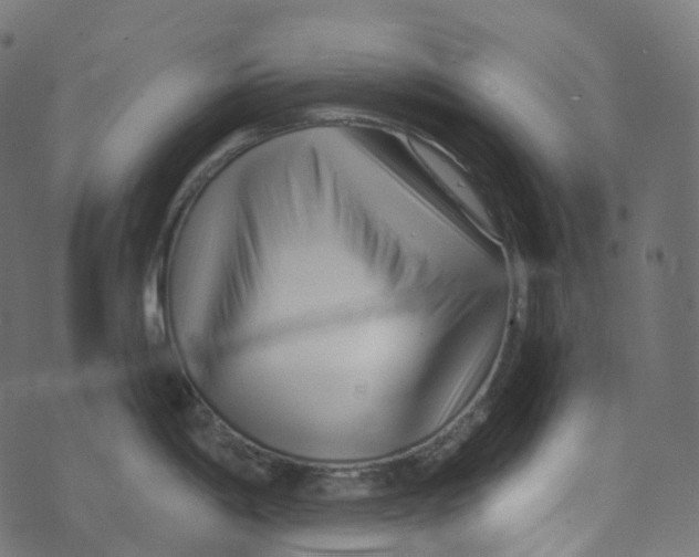 X0000073421198200608251542