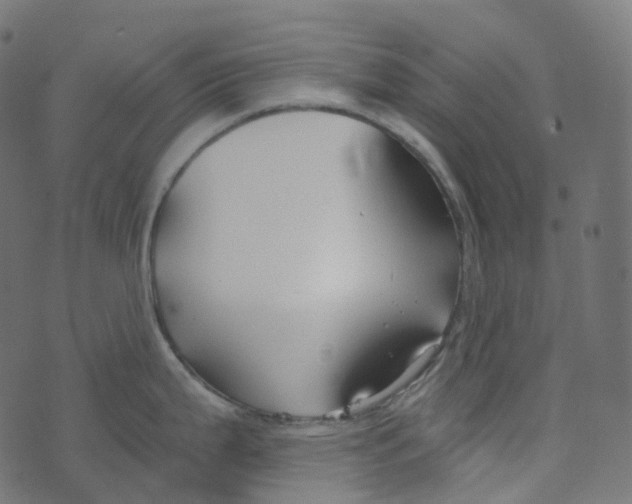 X0000073421199200608251542