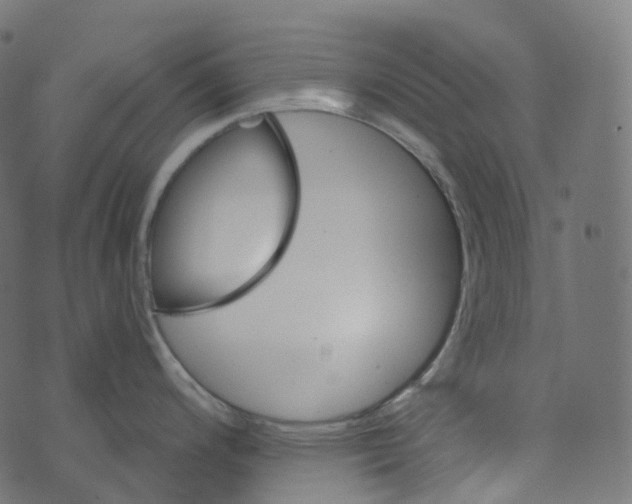 X0000073421200200608251542