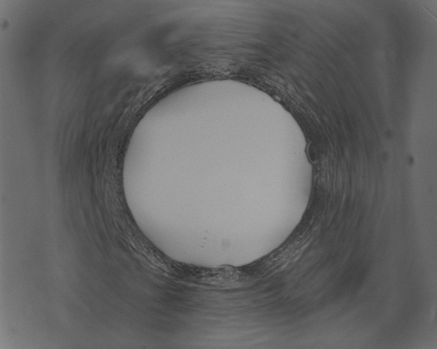 X0000073421201200608251541