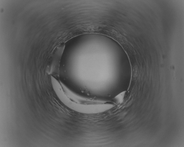 X0000073421202200608251541