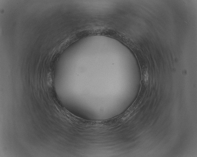 X0000073421204200608251541