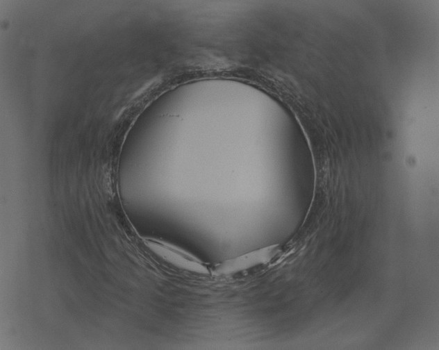 X0000073421205200608251541