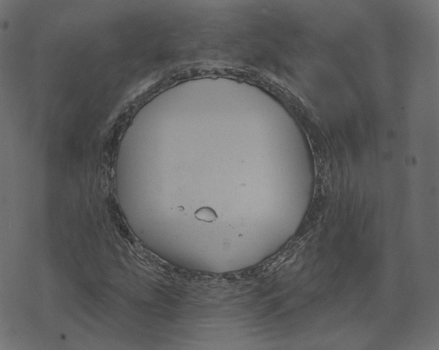 X0000073421207200608251541