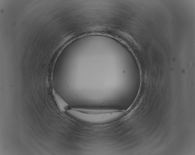 X0000073421209200608251541